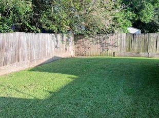 Jasmine M.'s grass cutting service result
