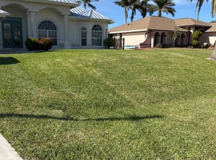 Adriana G.'s turf maintenance service result