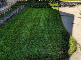 Jacobie D.'s lawn service service result