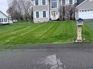 Ronald R.'s lawn maintenance service result
