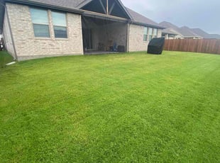 Bernardo M.'s grass cutting service result