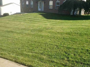 Jonathan P.'s lawn care services service result