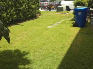 Peter A.'s lawn maintenance service result