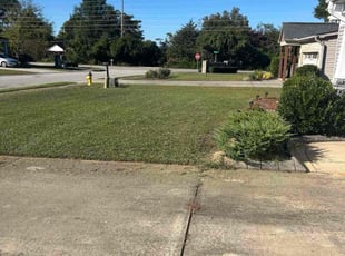 Pam M.'s Long Grass Cleanup service result