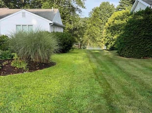 Beau L.'s turf maintenance service result