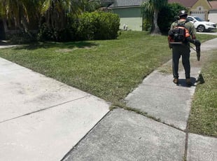 Rob D.'s grass maintenance service result