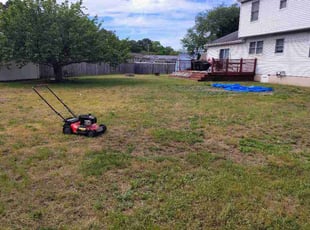 Katie Z.'s turf care service result