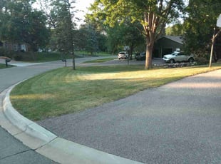 Juliana K.'s turf care service result