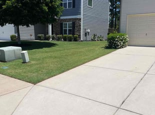 Denise W.'s grass maintenance service result