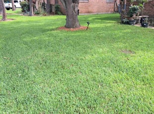 Rick G.'s grass cutting service result