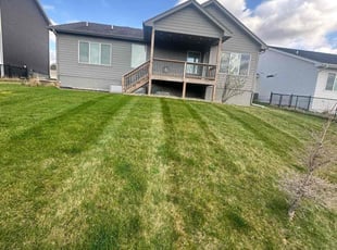 Tory W.'s yard service service result