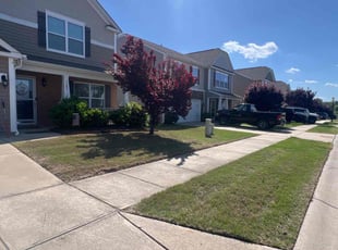 Ben M.'s lawn care service result