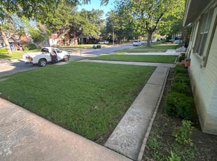 Daniel M.'s residential landscaping service result