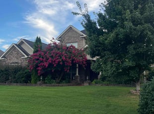 Dong K.'s lawn care service result