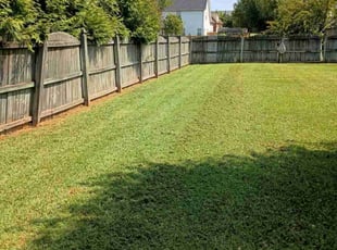 Larry M.'s lawn maintenance service result