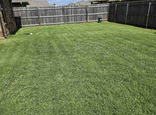 William M.'s grass maintenance service result