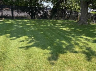 Austin W.'s lawn care services service result