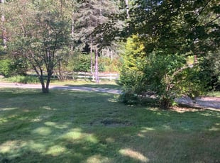 Tracy N.'s turf maintenance service result