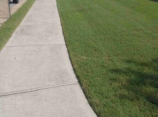 James W.'s lawn care services service result