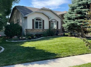 Lee B.'s turf maintenance service result