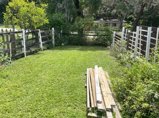 Tyler R.'s grass maintenance service result