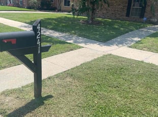 Mo A.'s turf care service result