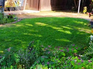 Eric S.'s lawn maintenance service result