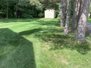 Brett T.'s lawn maintenance service result