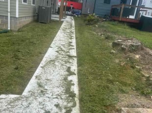 Erika B.'s grass cutting service result