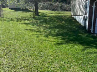 Chris C.'s lawn care service result