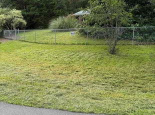 Eric F.'s grass maintenance service result