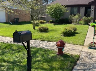 Dana R.'s grass maintenance service result