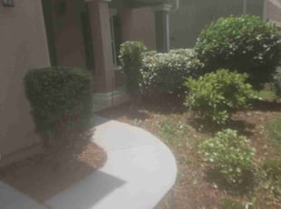Vicki G.'s Bush Trimming service result