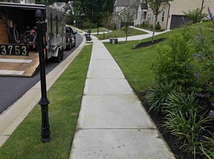 Ed P.'s lawn care service result