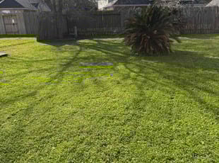 Sandra K.'s lawn service service result