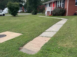 Niharika J.'s grass maintenance service result