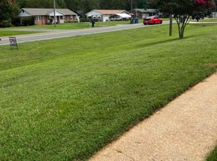 Chris C.'s turf maintenance service result