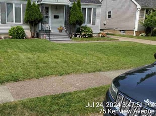 Richard R.'s lawn service service result
