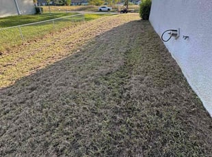 Janis W.'s lawn care service result