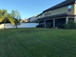 Ryan P.'s lawn care service result