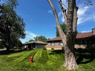 Debbie D.'s lawn care service result