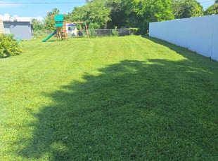 Regina A.'s grass cutting service result