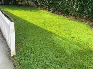 John B.'s lawn care service result