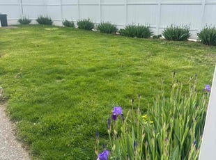 Benjamin M.'s turf maintenance service result