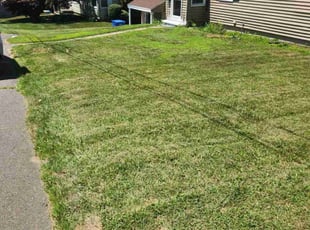 Charlene M.'s lawn maintenance service result