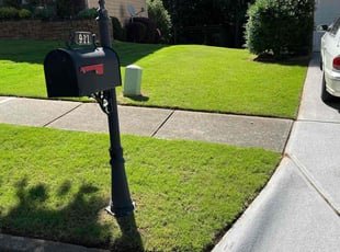 Christa Q.'s grass cutting service result