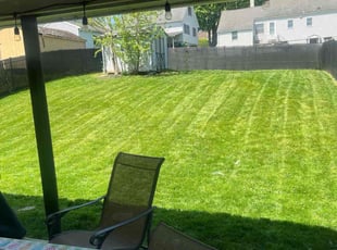 YOUN SUN J.'s lawn service service result