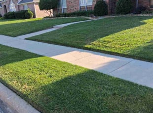 Pa Y.'s lawn service service result