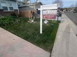 Maritza A.'s lawn service service result