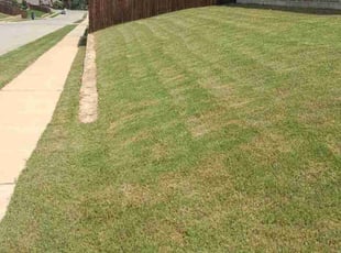 Josh C.'s turf care service result